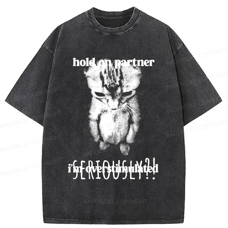 Baddiecat Seriously Cat Washed T-shirt