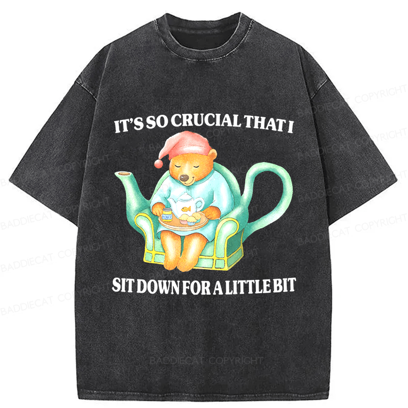 Baddiecat Need To Sit Washed T-shirt