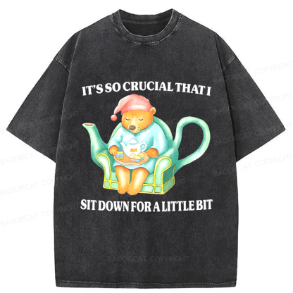 Baddiecat Need To Sit Washed T-shirt