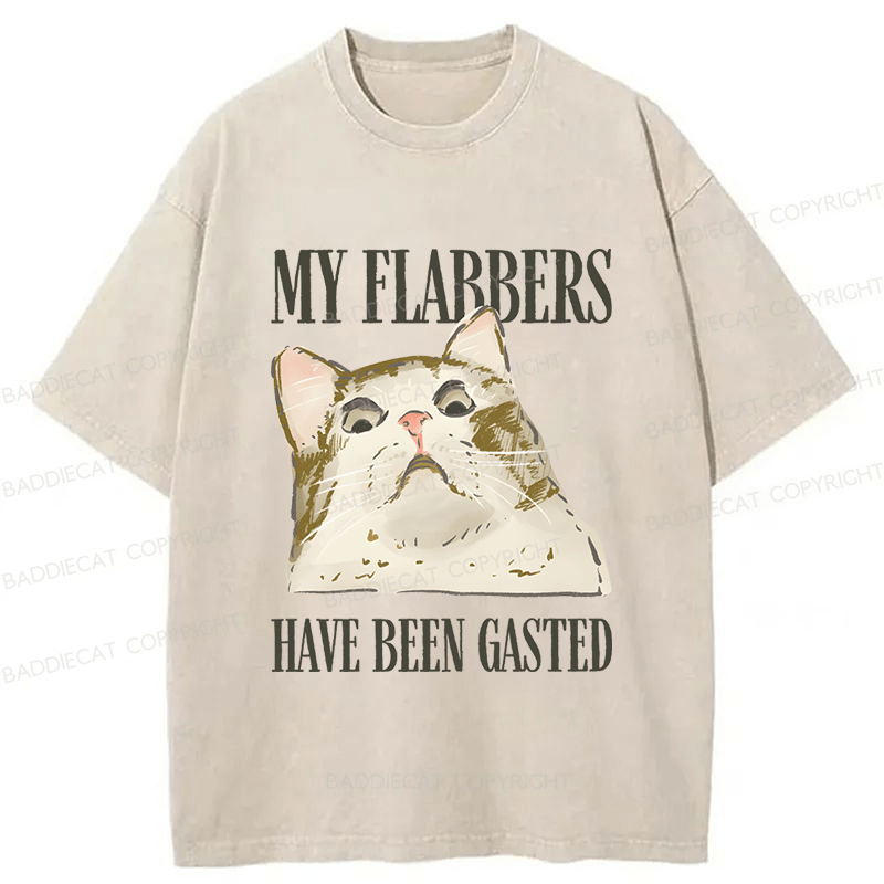 Baddiecat American Street Wear Funny Sarcastic Cat Washed T-shirt