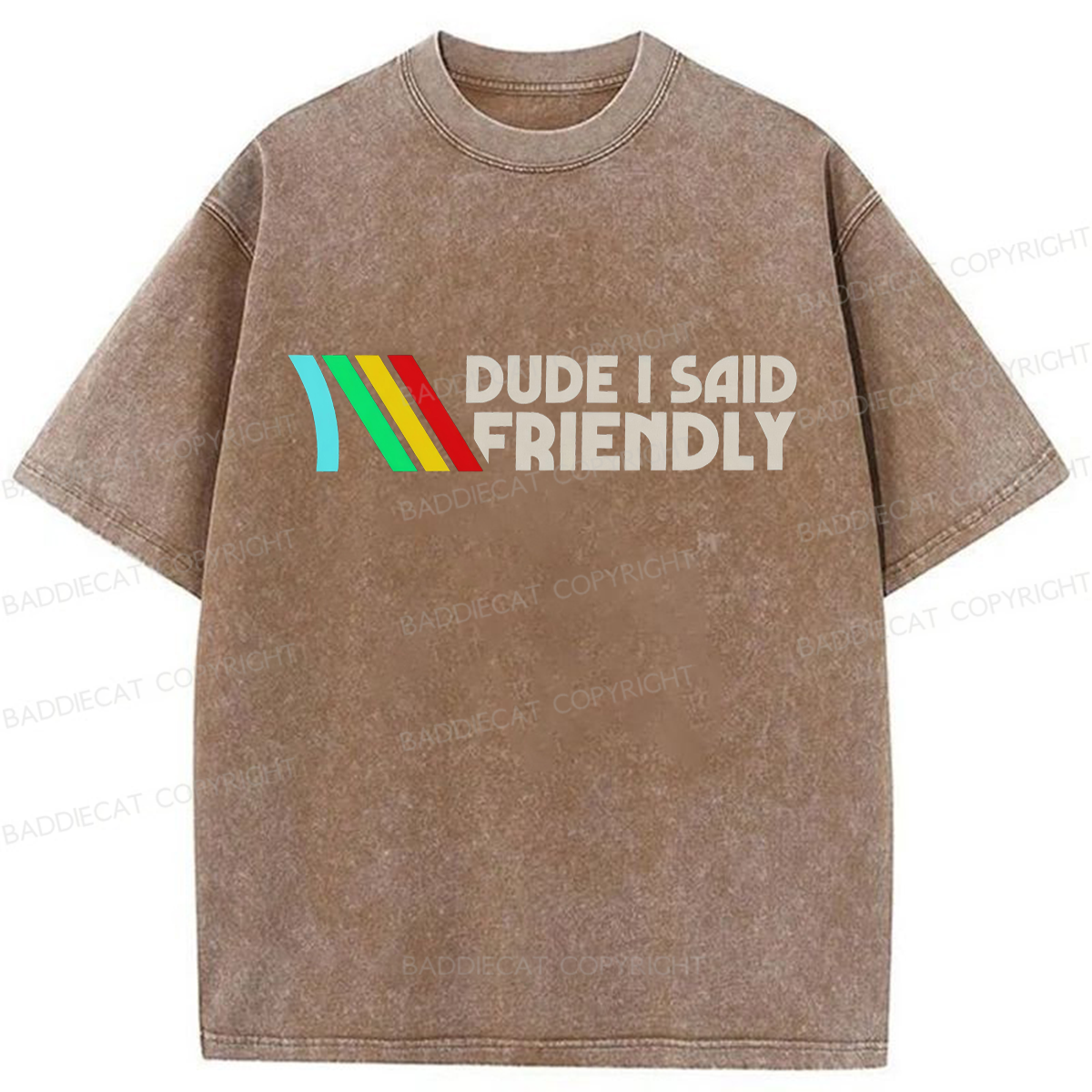 Baddiecat Dude I Said Friendly Washed T-shirt