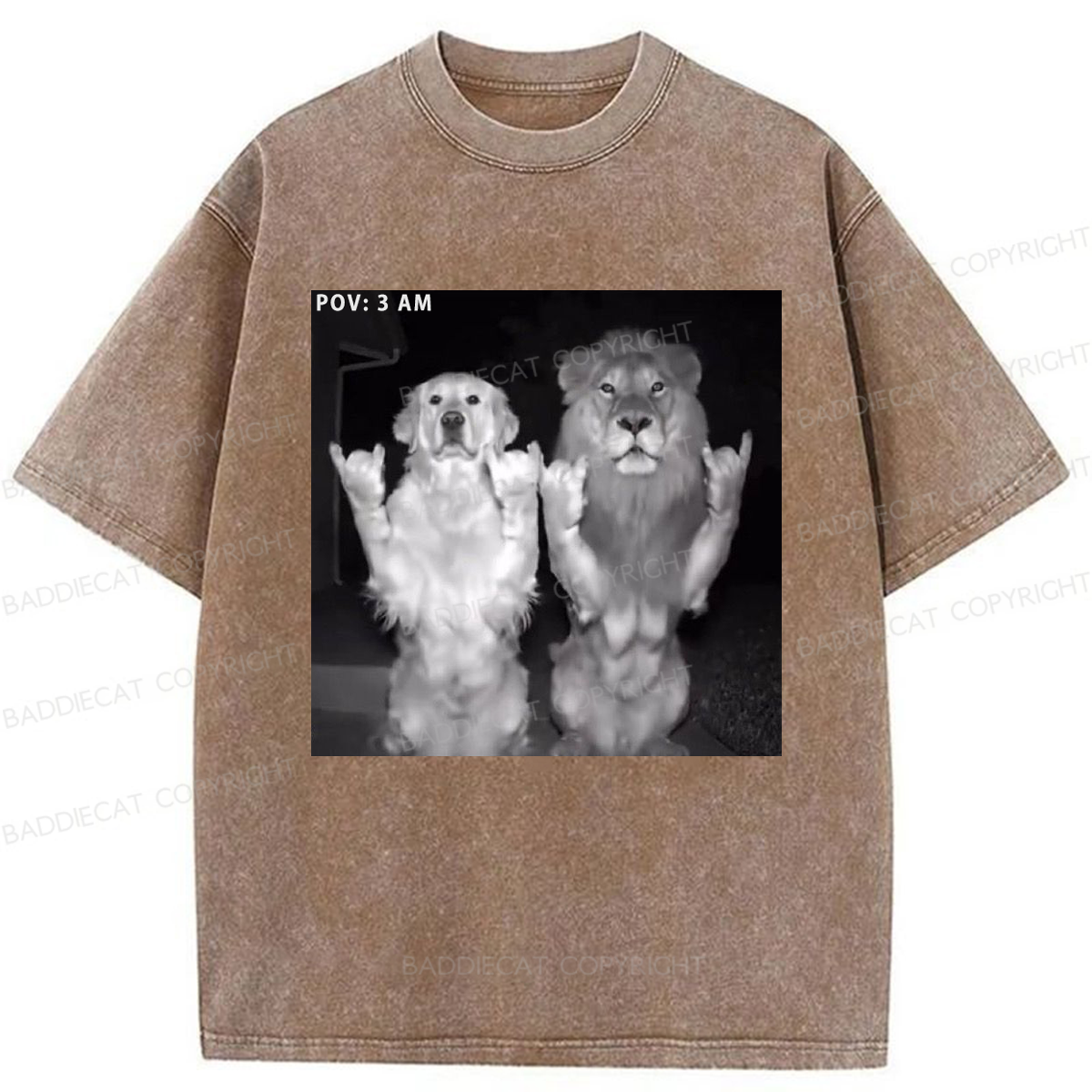Baddiecat POV 3AM Dancing Washed T-shirt
