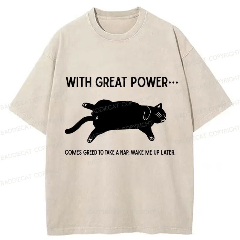 Baddiecat The Cat Is Sleeping In Washed T-shirt
