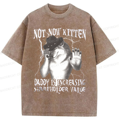 Baddiecat Not Now Kitten Daddy Increasing Shareholder Value Washed T-shirt