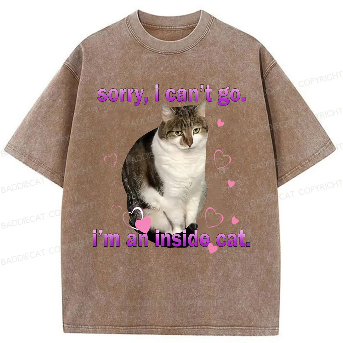 Baddiecat I'm An Inside Cat Washed T-shirt