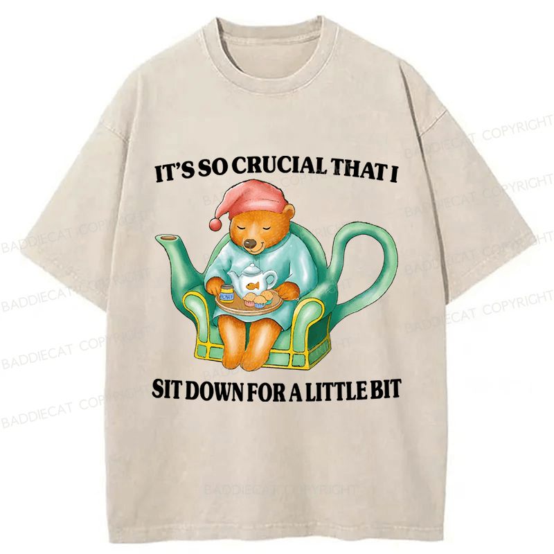 Baddiecat Need To Sit Washed T-shirt
