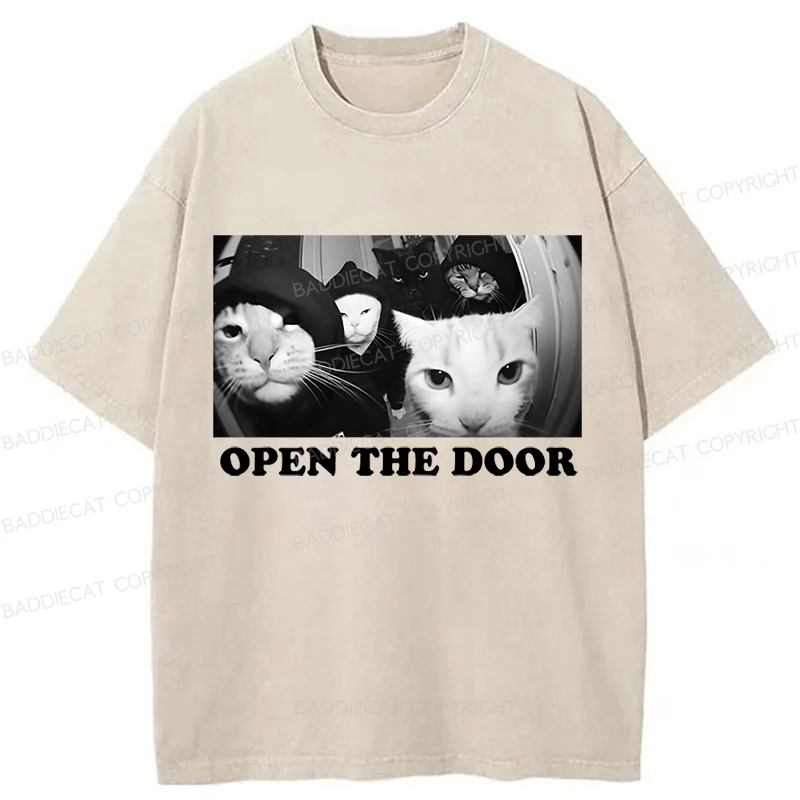 Baddiecat Sarcastic Cat Meme Washed T-shirt