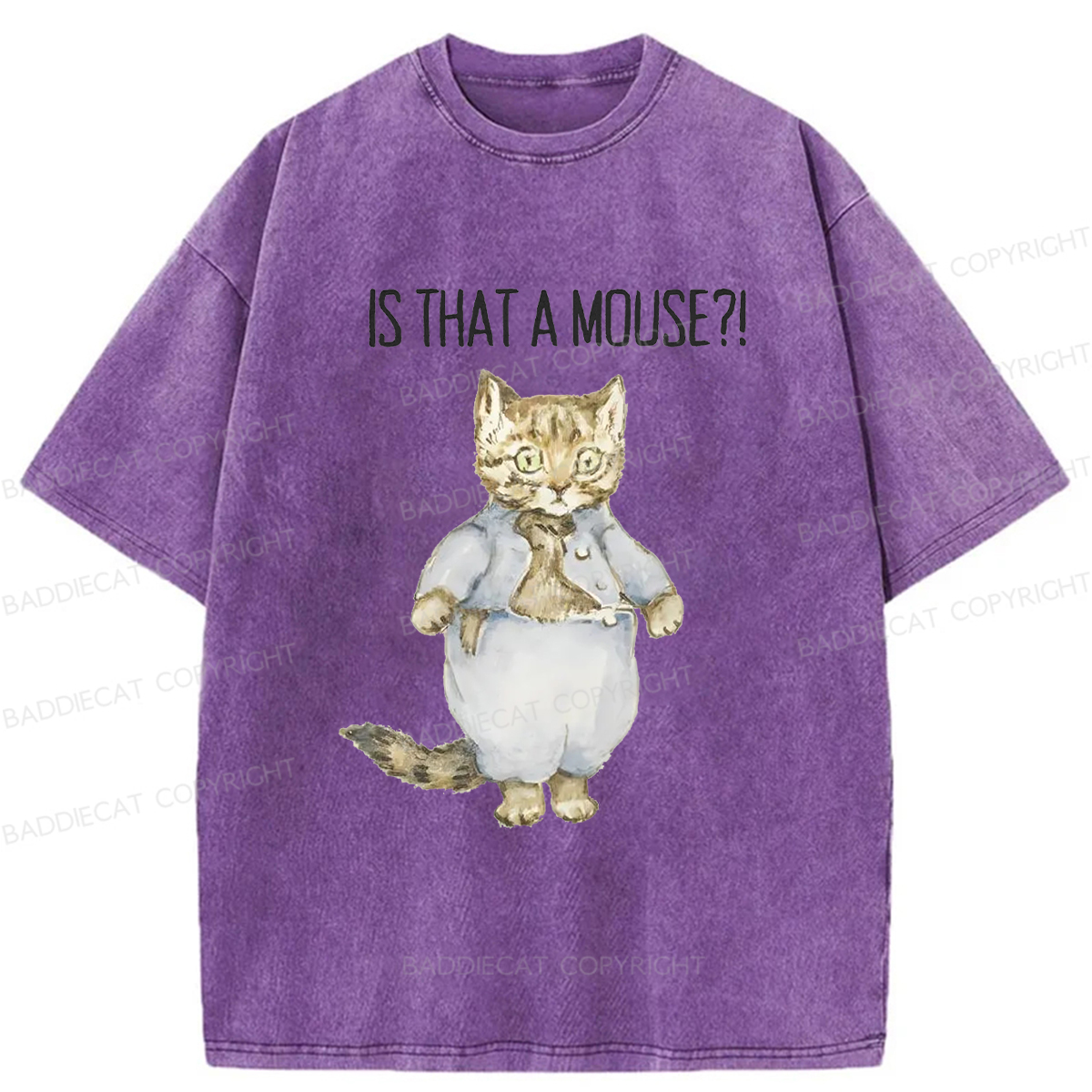 Baddiecat Startled Cat Washed T-shirt