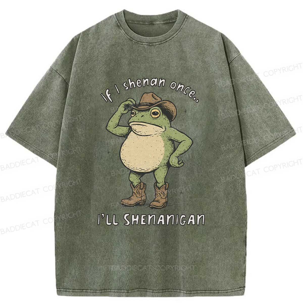 Baddiecat If I Shenan Once I'll Shenanigan Washed T-shirt