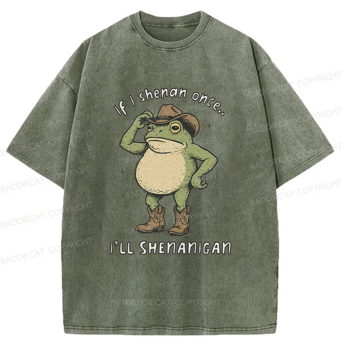 Baddiecat If I Shenan Once I'll Shenanigan Washed T-shirt