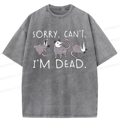 Baddiecat Sorry Can't Washed T-shirt