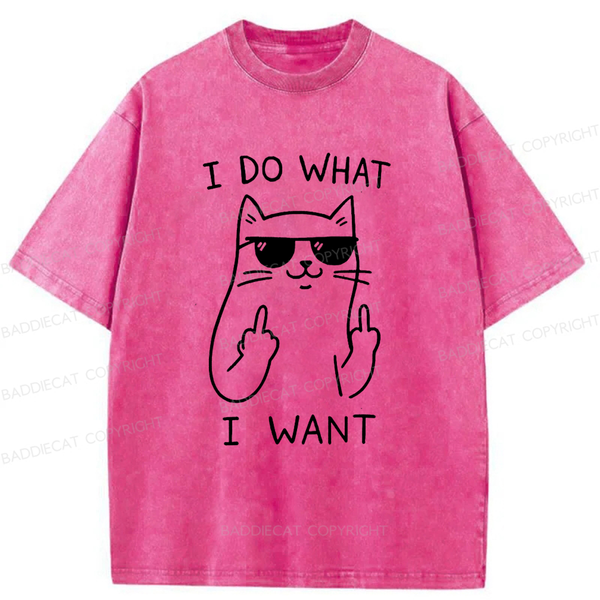 Baddiecat Cool Cat Washed T-shirt
