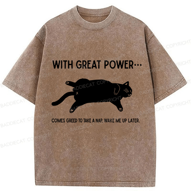 Baddiecat The Cat Is Sleeping In Washed T-shirt