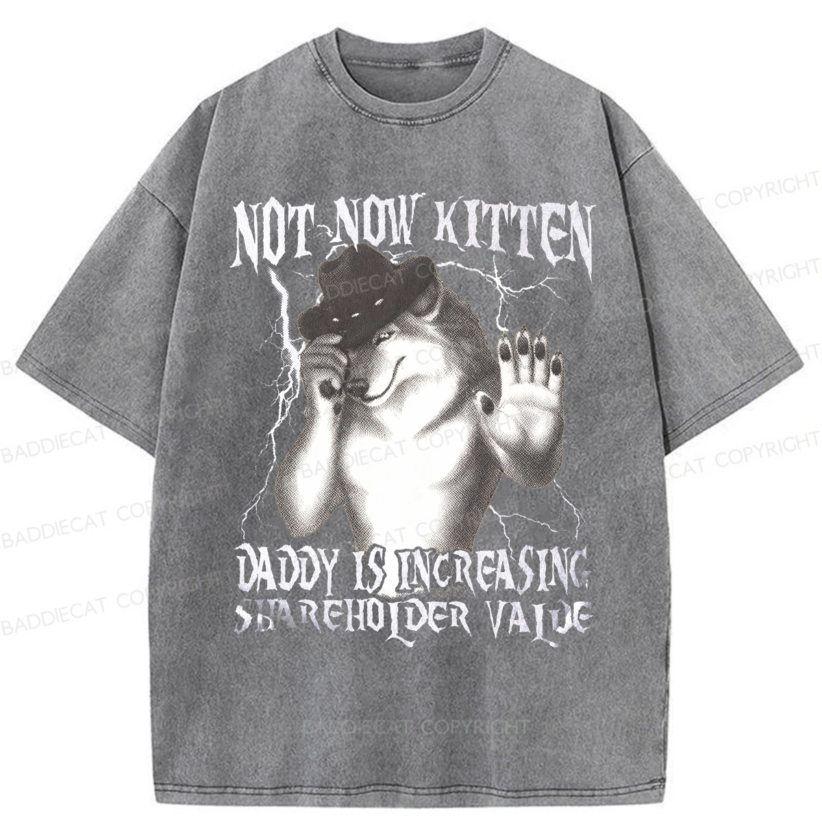 Baddiecat Not Now Kitten Daddy Increasing Shareholder Value Washed T-shirt