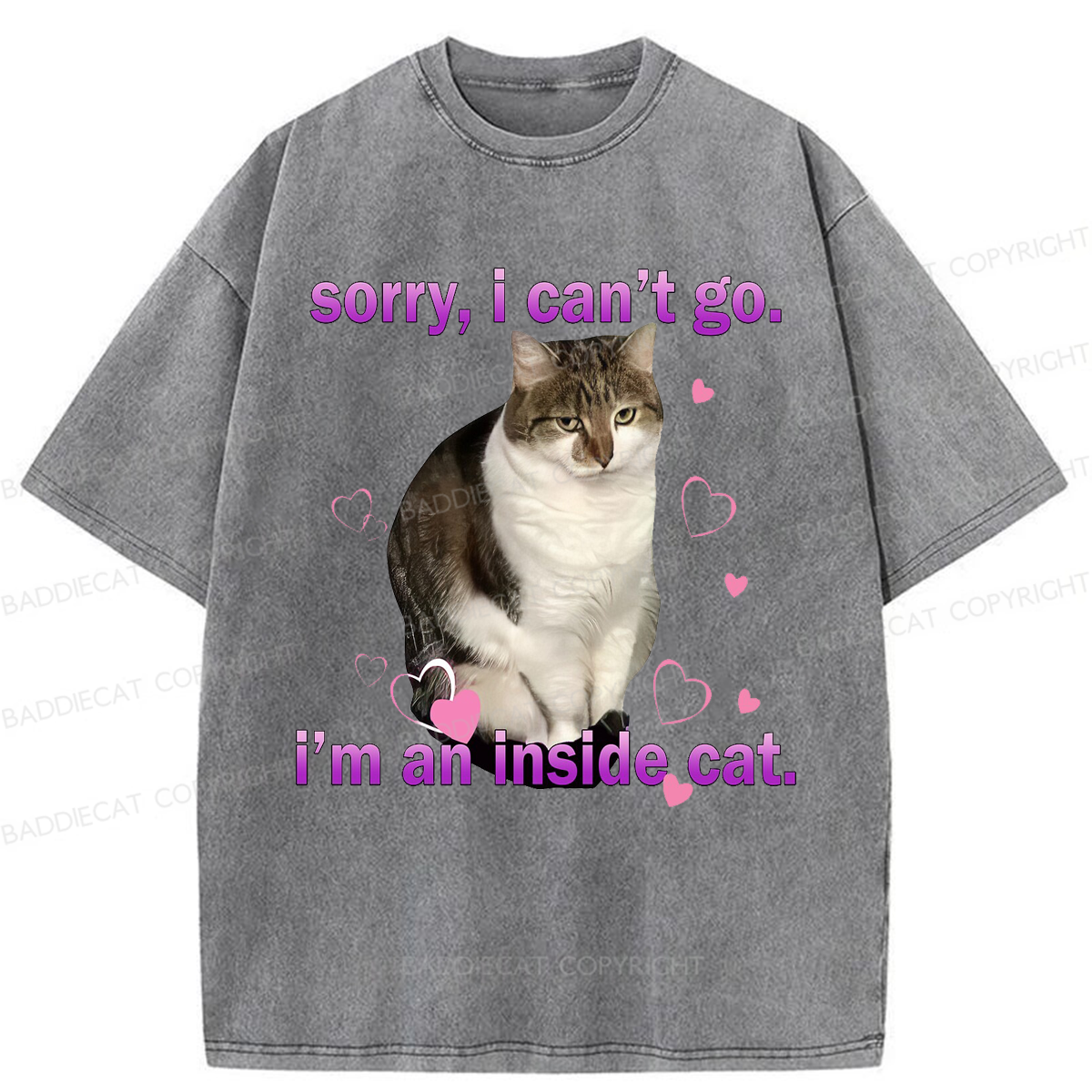 Baddiecat I'm An Inside Cat Washed T-shirt
