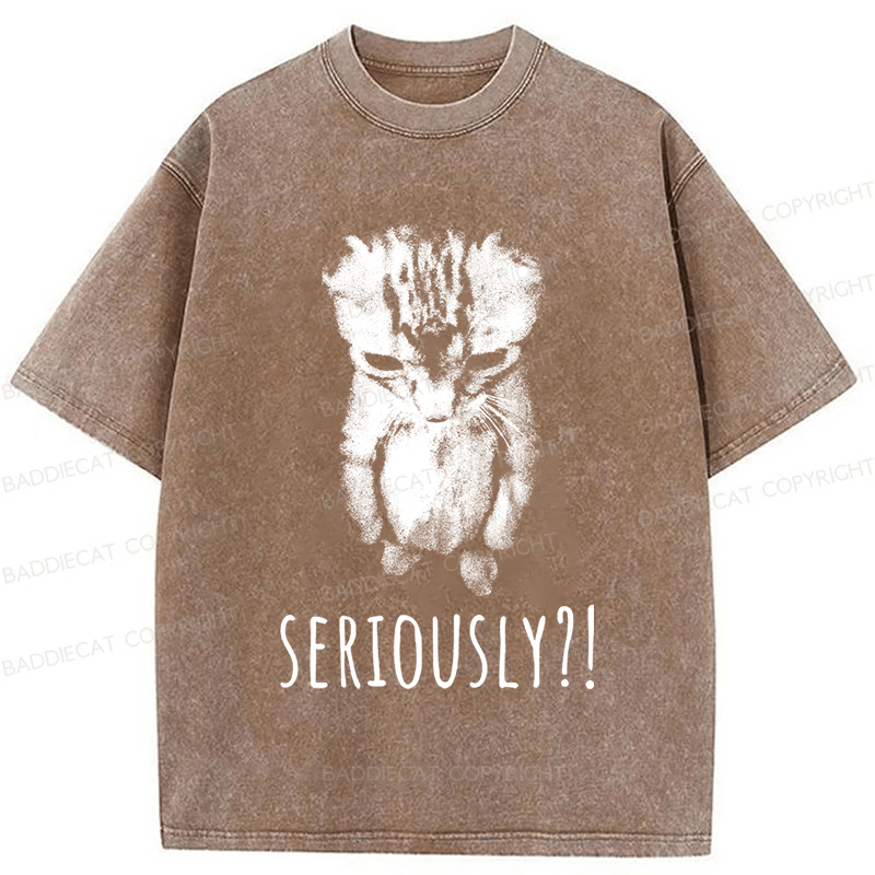Baddiecat Seriously Cat Washed T-shirt