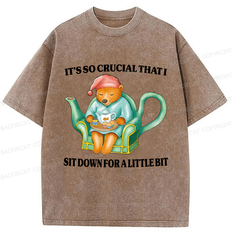 Baddiecat Need To Sit Washed T-shirt