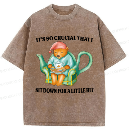 Baddiecat Need To Sit Washed T-shirt