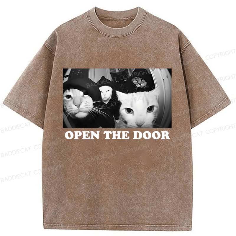 Baddiecat Sarcastic Cat Meme Washed T-shirt