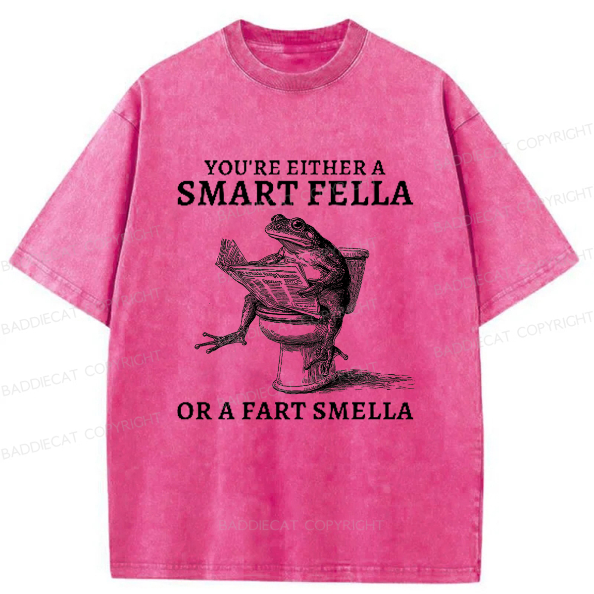 Baddiecat The Conceited Frog On The Toilet Washed T-shirt