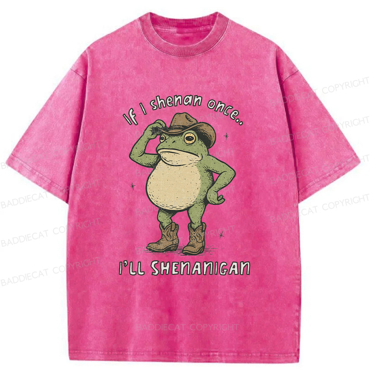 Baddiecat If I Shenan Once I'll Shenanigan Washed T-shirt
