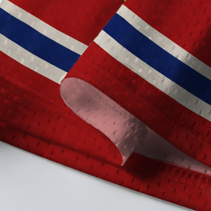 Baddiecat USA Hockey Mesh Jersey