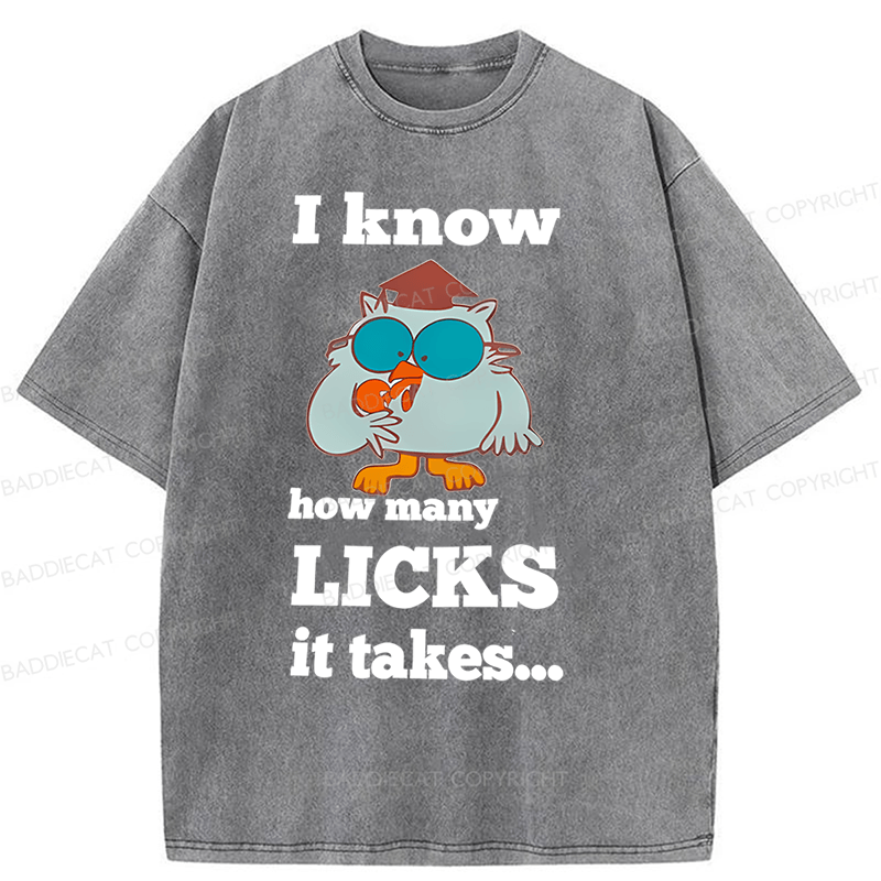 Baddiecat I Know How Many Licks It Takes Washed T-Shirt
