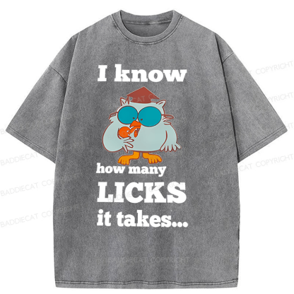 Baddiecat I Know How Many Licks It Takes Washed T-Shirt