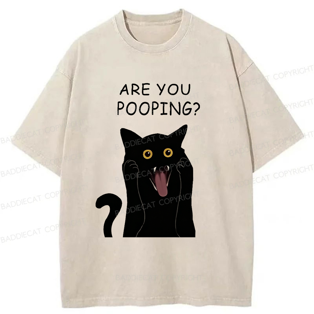Baddiecat Are You Pooping Washed T-Shirt