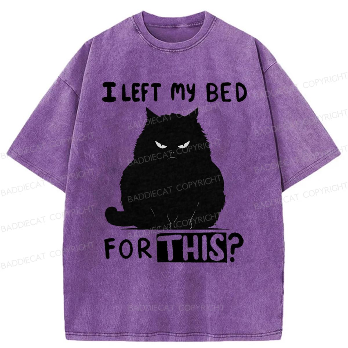 Baddiecat I Left My Bed For This Washed T-shirt
