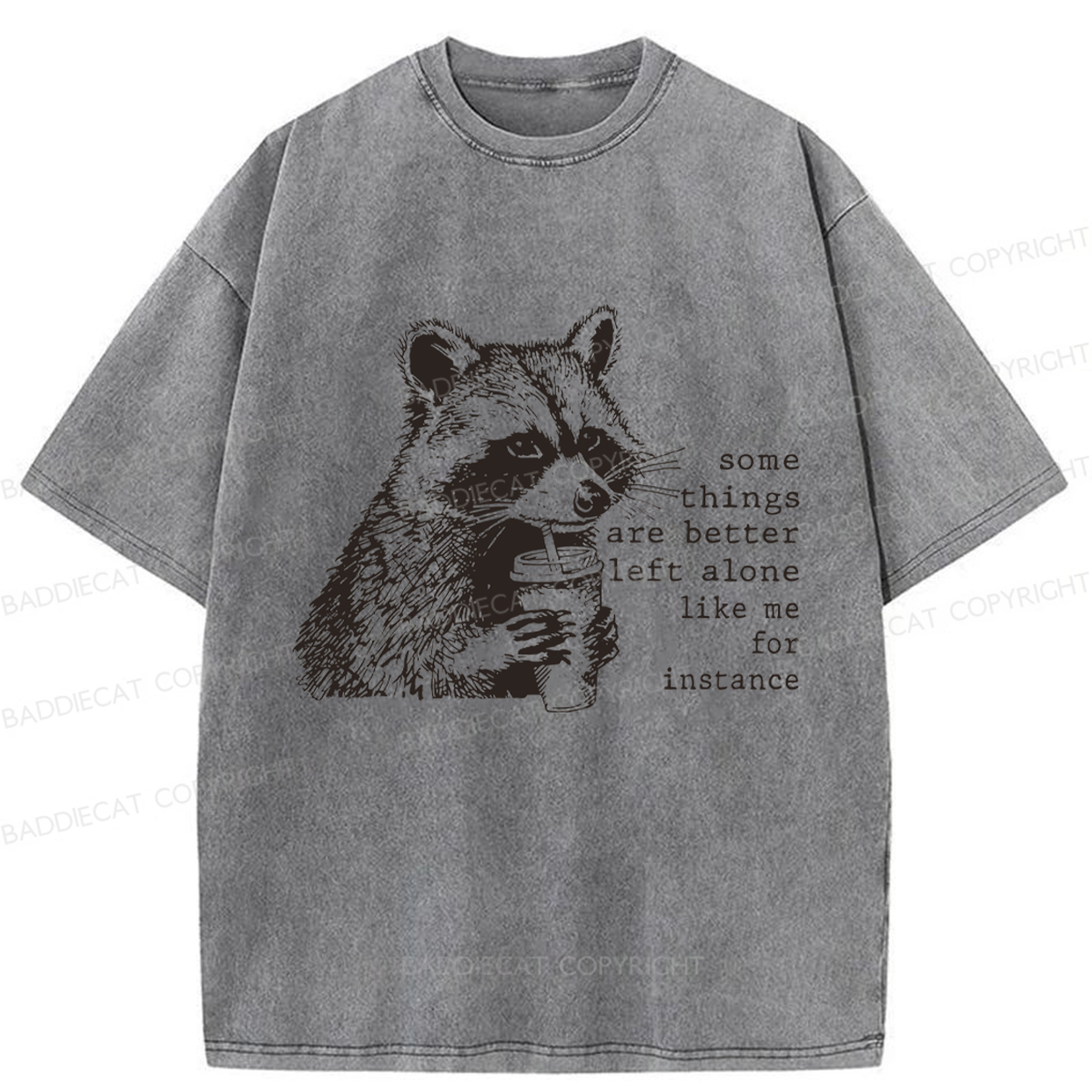 Baddiecat Retro Some Things Are Better Left Alone Raccoon Washed T-shirt