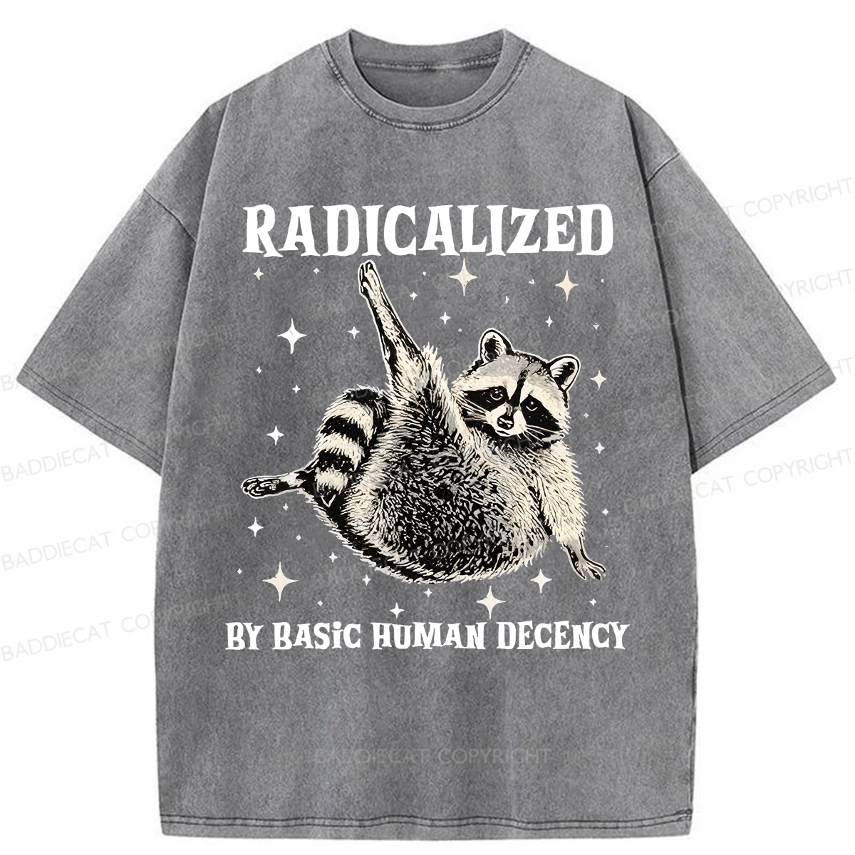 Baddiecat Radicalized By Basic Decency Raccoon Washed T-shirt
