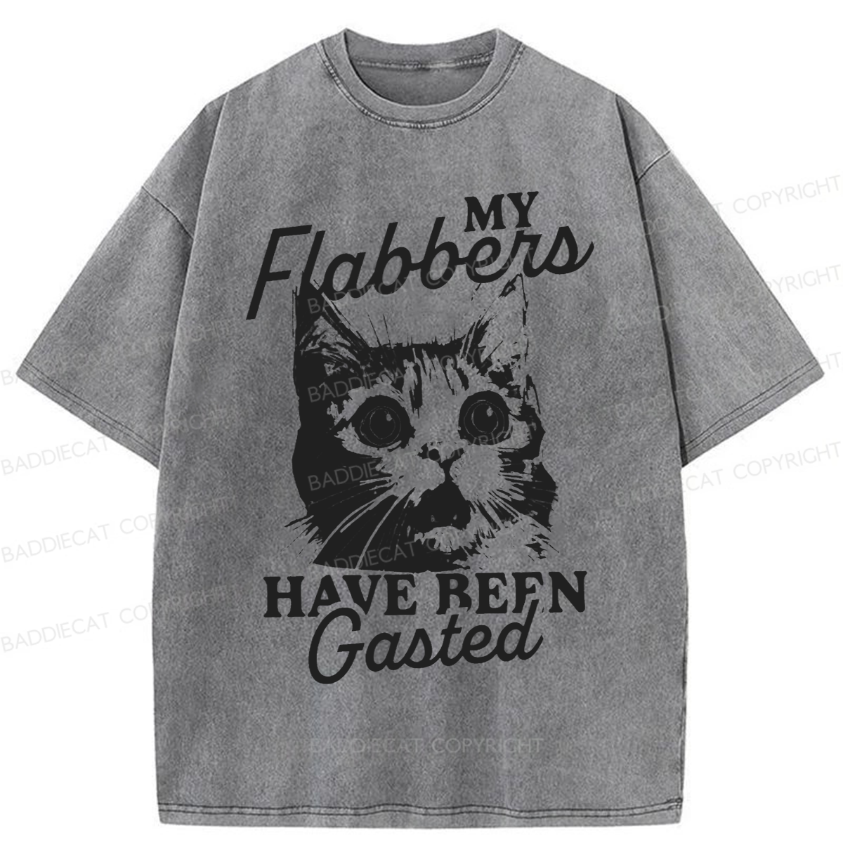 Baddiecat My Flabbers Have Been Gasted Humor Washed T-shirt