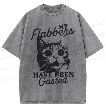 Baddiecat My Flabbers Have Been Gasted Humor Washed T-shirt