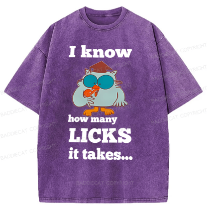 Baddiecat I Know How Many Licks It Takes Washed T-Shirt