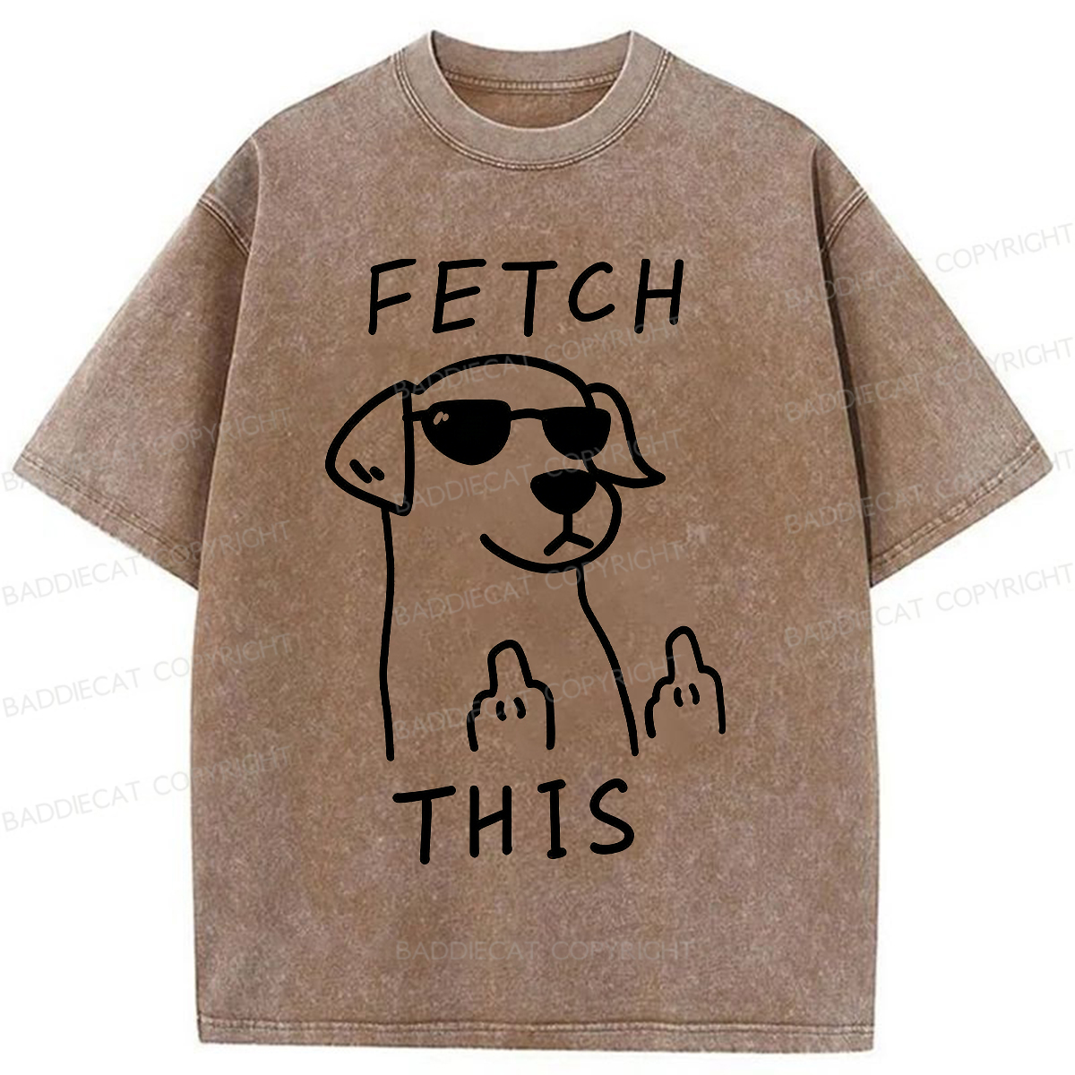 Baddiecat Fetch This Dog Washed T-shirt