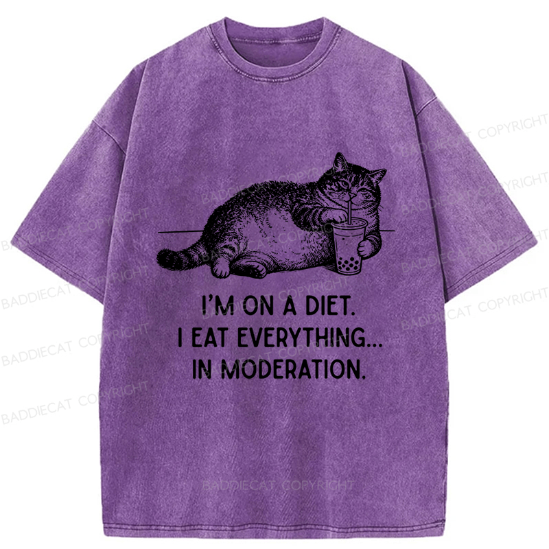 Baddiecat Cat Weight Loss Funny Washed T-shirt