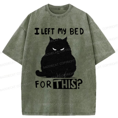 Baddiecat I Left My Bed For This Washed T-shirt