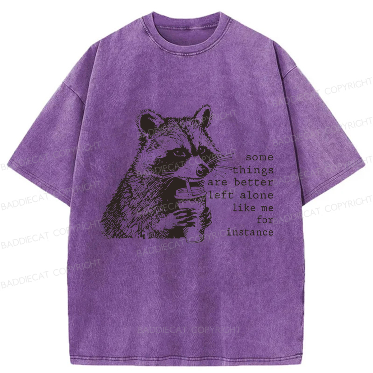 Baddiecat Retro Some Things Are Better Left Alone Raccoon Washed T-shirt