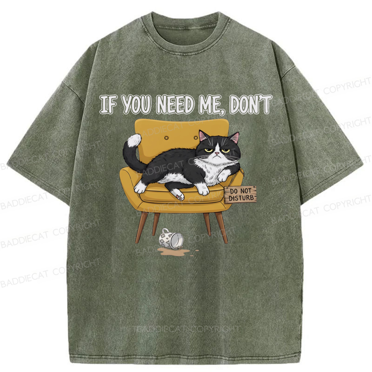 Baddiecat If You Need Me Washed T-shirt