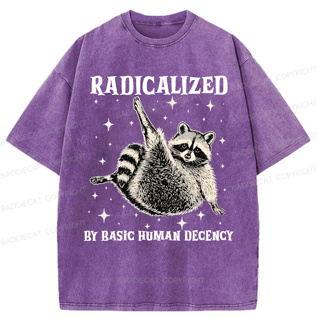 Baddiecat Radicalized By Basic Decency Raccoon Washed T-shirt