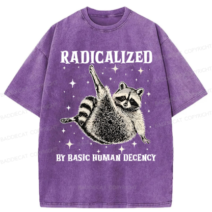 Baddiecat Radicalized By Basic Decency Raccoon Washed T-shirt
