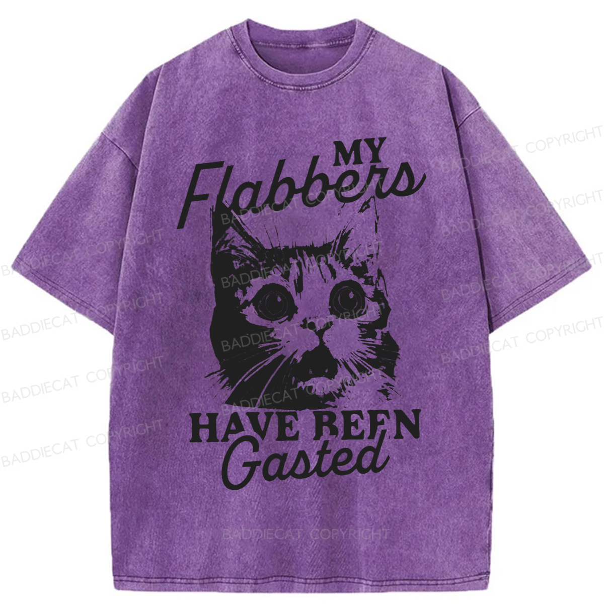 Baddiecat My Flabbers Have Been Gasted Humor Washed T-shirt