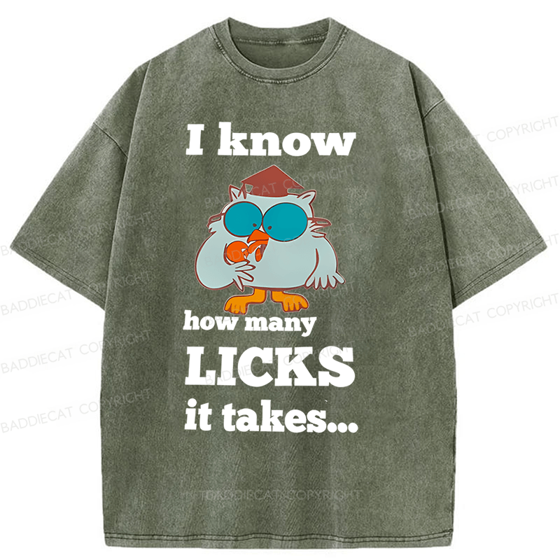 Baddiecat I Know How Many Licks It Takes Washed T-Shirt