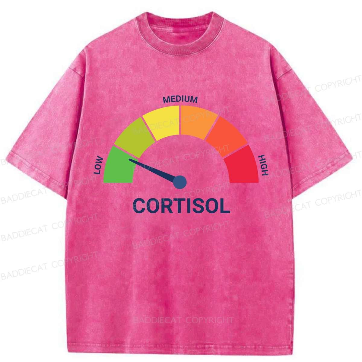 Baddiecat No Cortisol Spikes Here Washed T-shirt