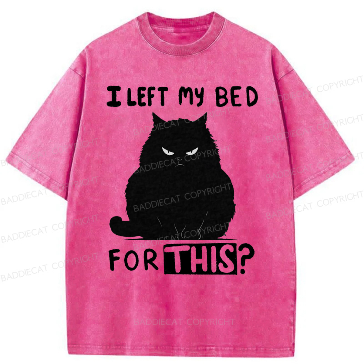 Baddiecat I Left My Bed For This Washed T-shirt