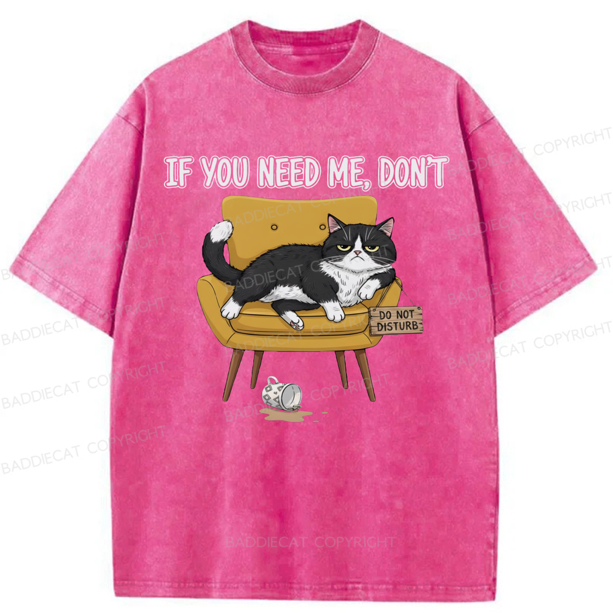 Baddiecat If You Need Me Washed T-shirt