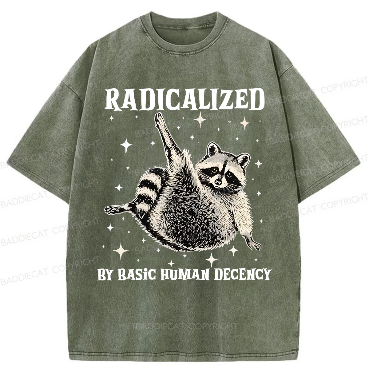 Baddiecat Radicalized By Basic Decency Raccoon Washed T-shirt