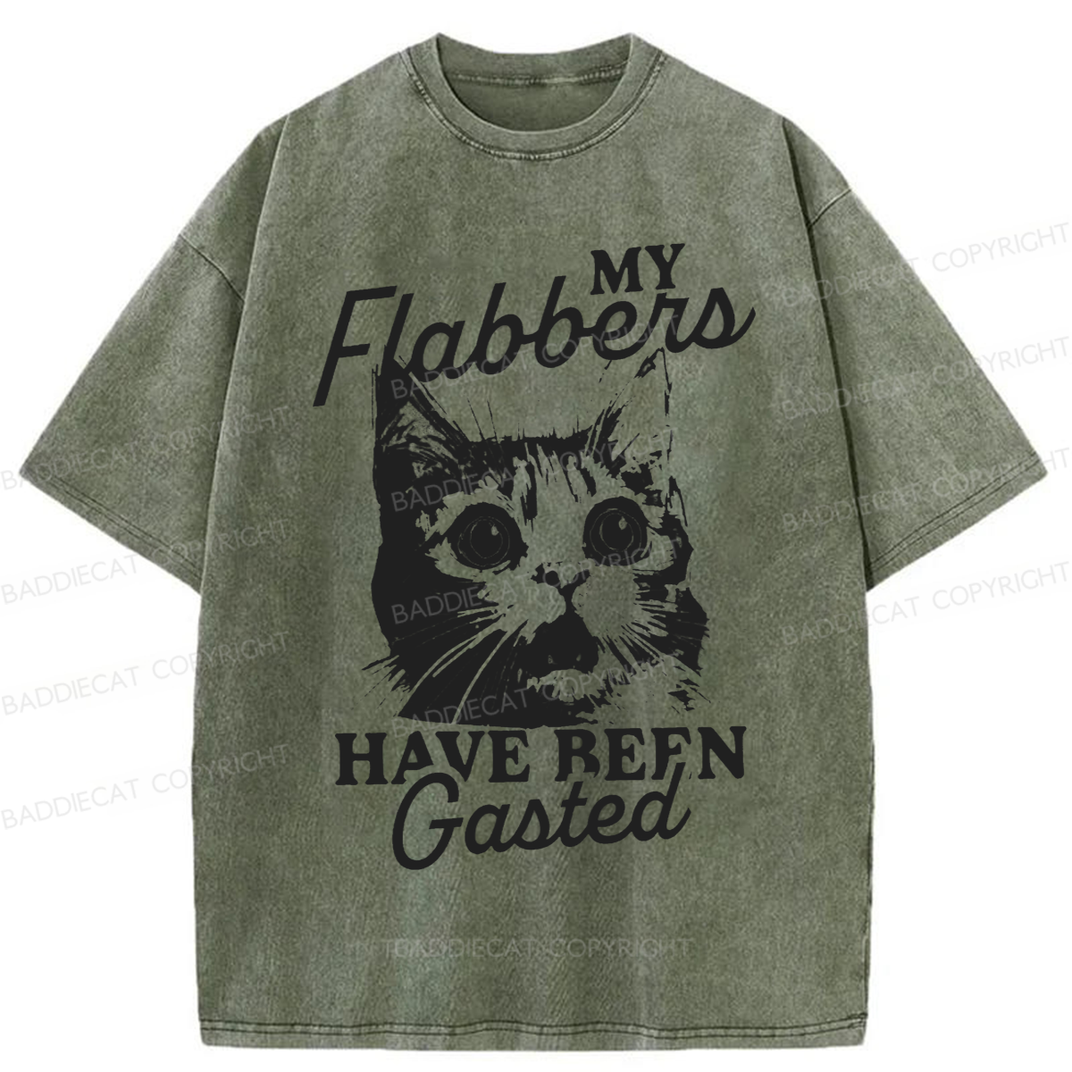 Baddiecat My Flabbers Have Been Gasted Humor Washed T-shirt