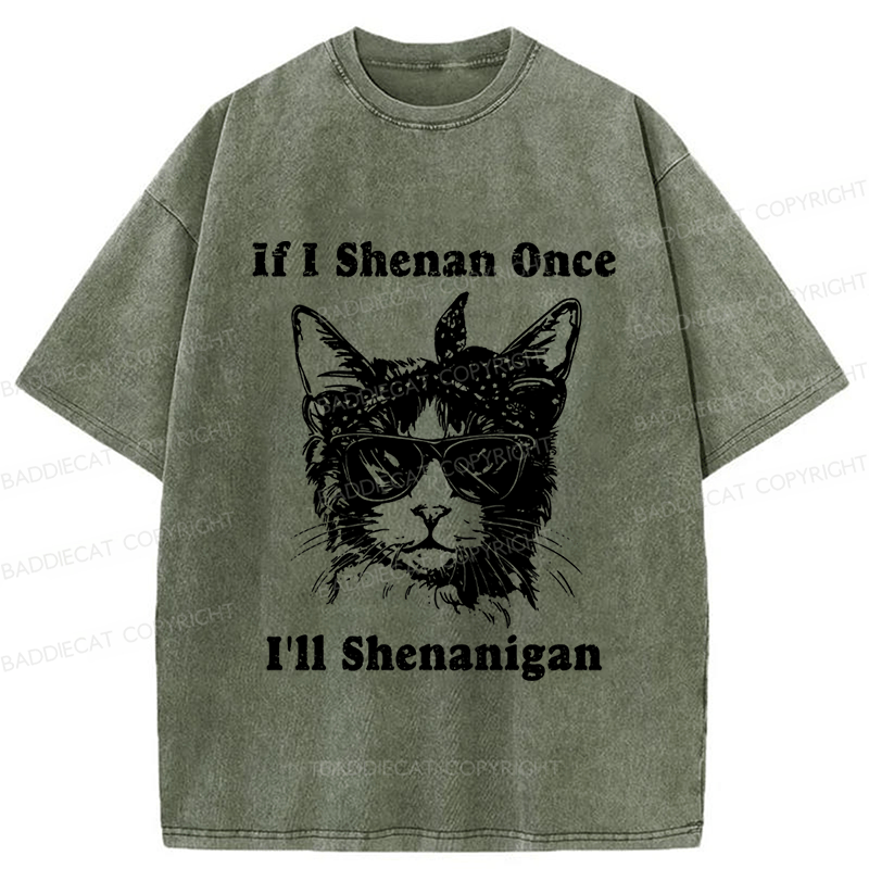 Baddiecat If I Shenan Once I’ll Shenanigan Washed T-shirt